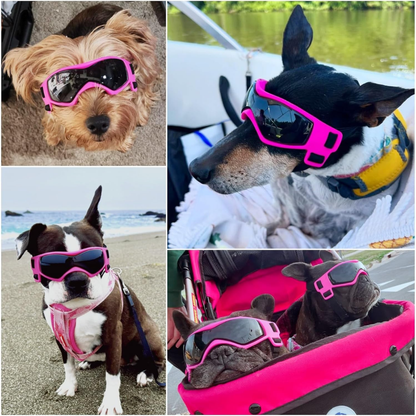 Gafas de Sol para Perros con Protección UV
