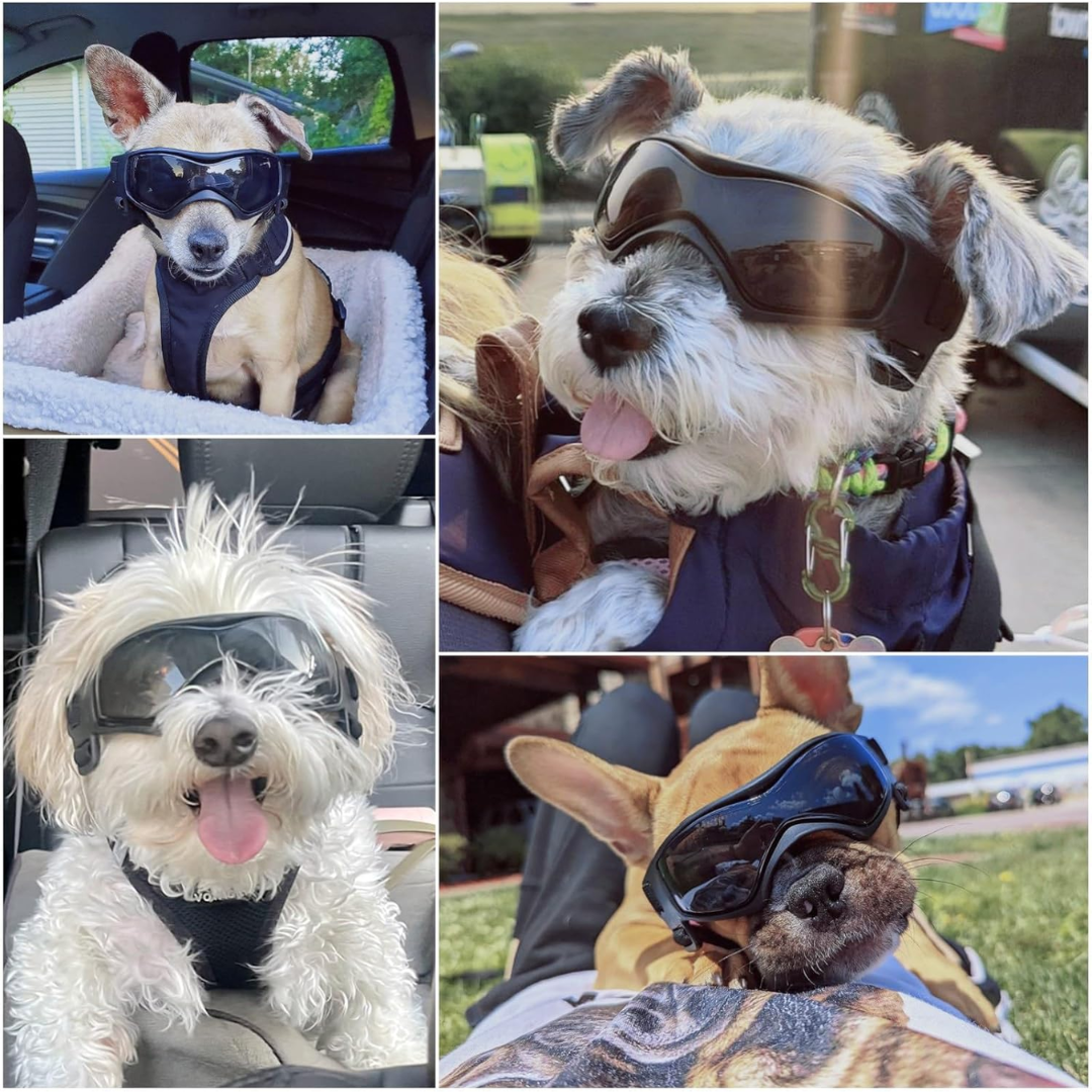 Gafas de Sol para Perros con Protección UV