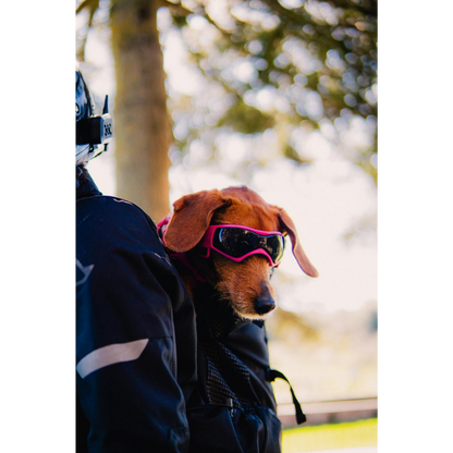 Mochila Transportín para Perros y Gatos